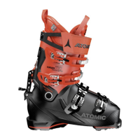 Alpine boots